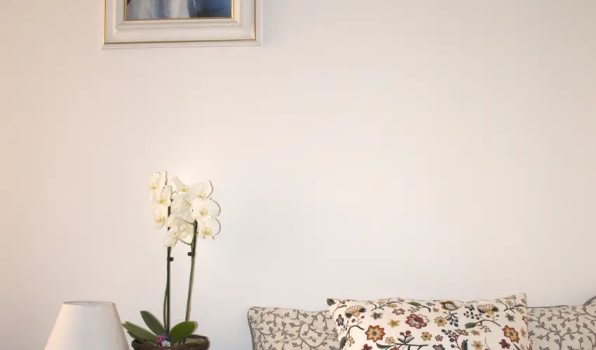 Malom-t Vendghz Tapolca - Pnksd