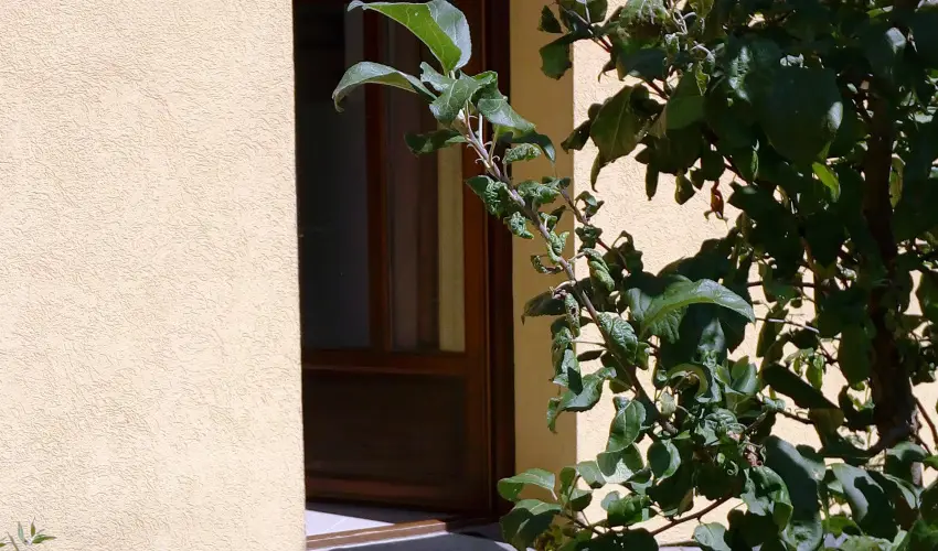 Malom-t Vendghz Tapolca - Pnksd