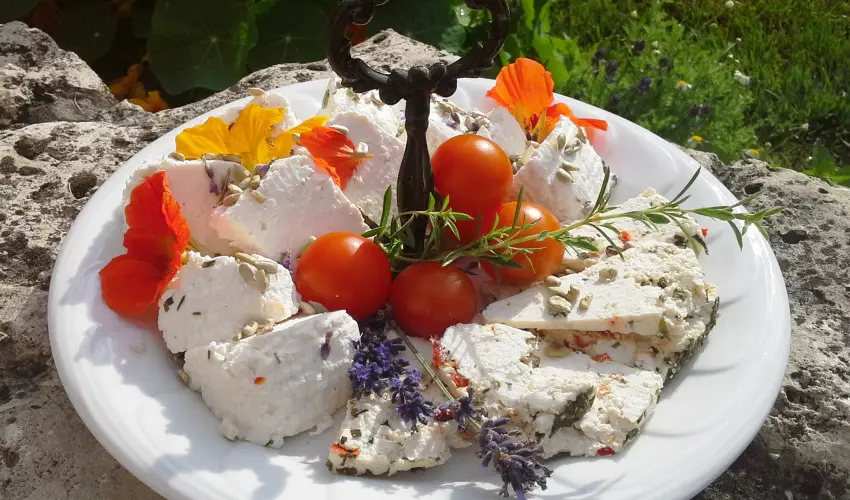 Malom-t Vendghz Tapolca - Pnksd