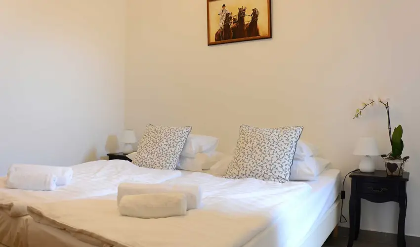 Malom-t Vendghz Tapolca - Pnksd