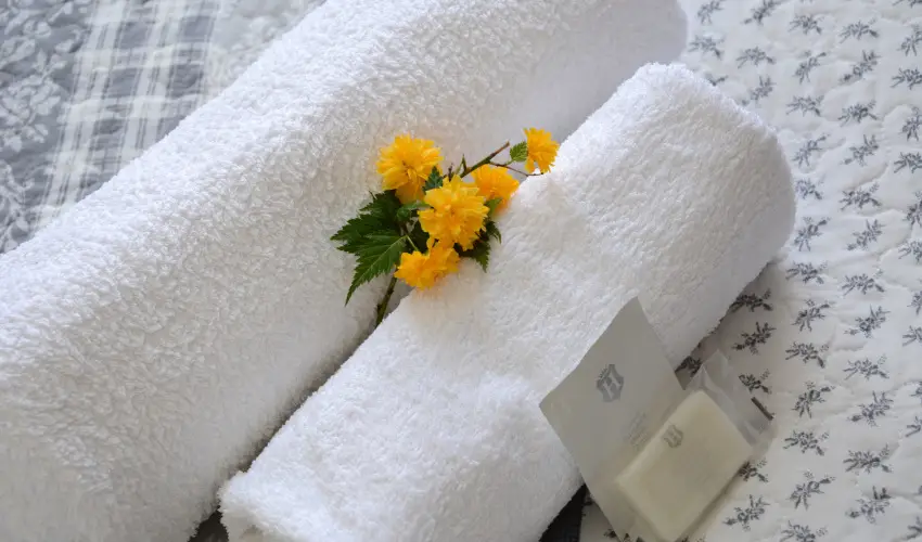 Malom-t Vendghz Tapolca - Pnksd