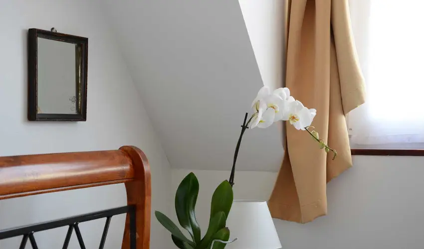 Malom-t Vendghz Tapolca - Pnksd