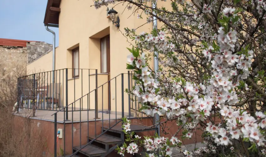 Malom-t Vendghz Tapolca - Pnksd