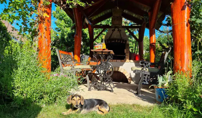 Margar�ta Panzi� S�rospatak - P�nk�sd (min. 2 �j)