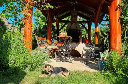 Margar�ta Panzi� - P�nk�sd (min. 2 �j)