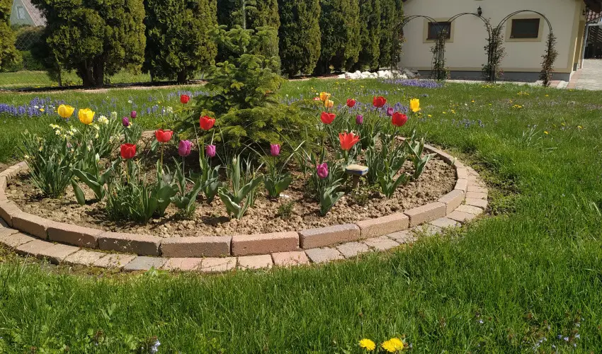 Mria Apartmanok Zalakaros - Pnksd (min. 2 j)