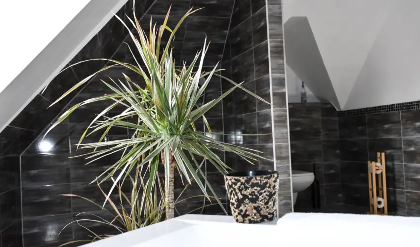 V�gv�ri Hotel Eger Eger - P�nk�sd 