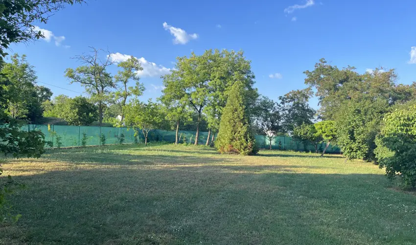 Mrki Vendghz Mrk - Pnksd (min. 2 j)