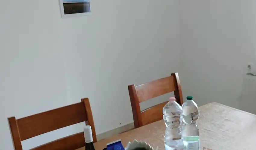 Mrki Vendghz Mrk - Pnksd (min. 2 j)