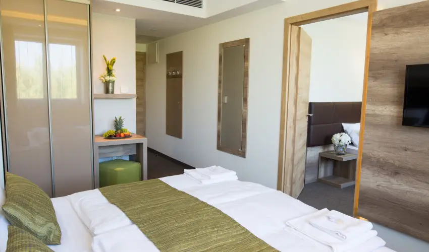 N�das T� Park Hotel Vasad - P�nk�sd (min. 3 �j)