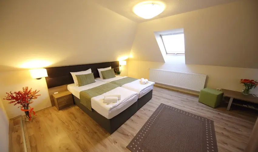 N�das T� Park Hotel Vasad - P�nk�sd (min. 3 �j)