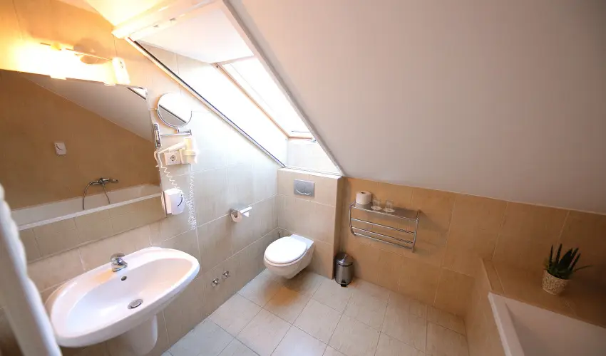 N�das T� Park Hotel Vasad - P�nk�sd (min. 3 �j)