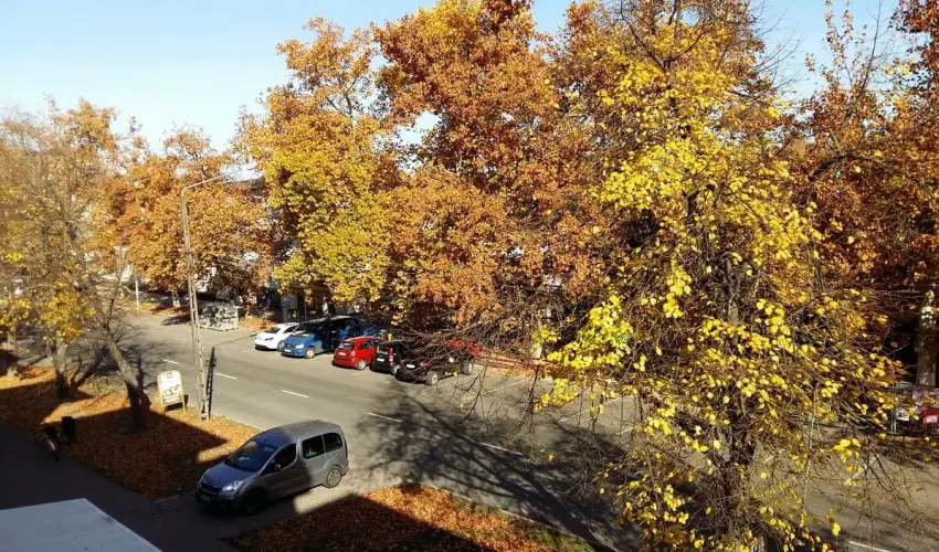 Napsugr Kenzy Lux Apartman Vendghzak Hajdszoboszl - Pnksd (min. 2 j)