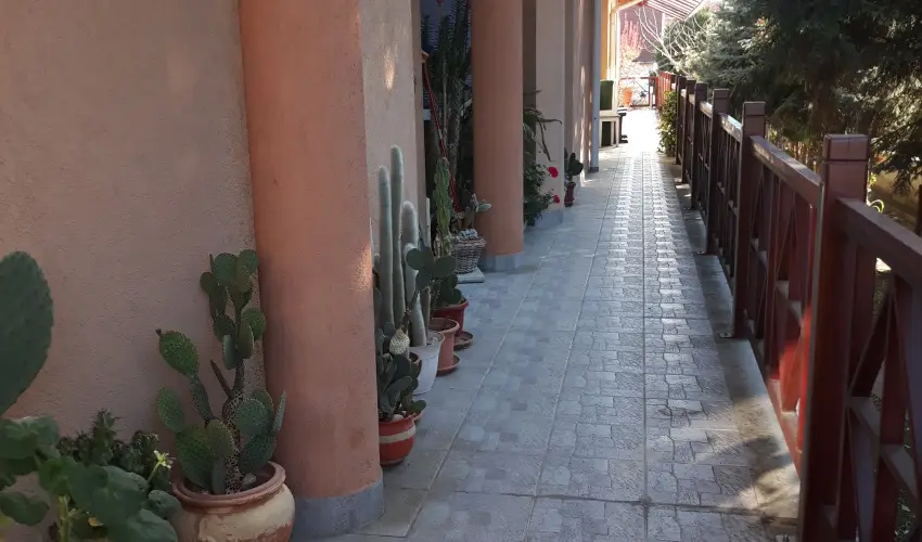 Napsugr Kenzy Lux Apartman Vendghzak Hajdszoboszl - Pnksd (min. 2 j)