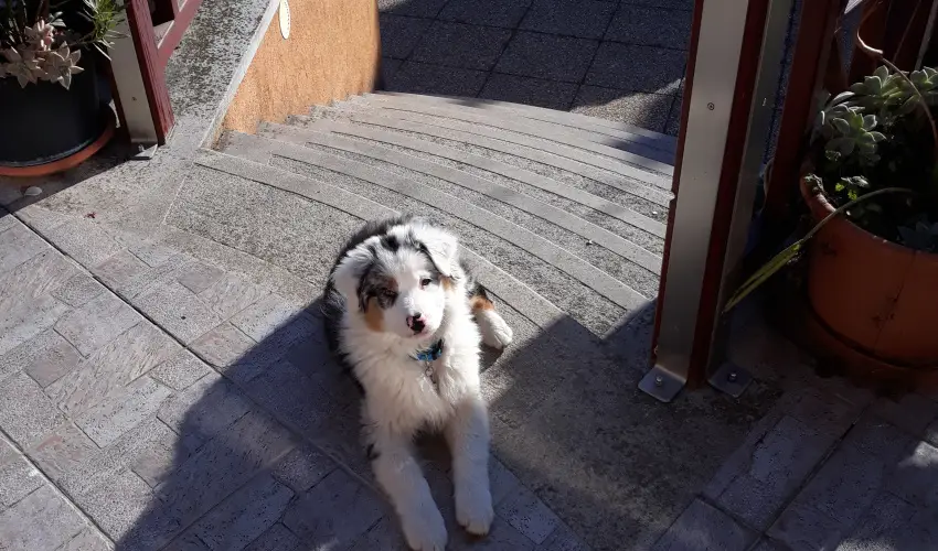 Napsugr Kenzy Lux Apartman Vendghzak Hajdszoboszl - Pnksd (min. 2 j)