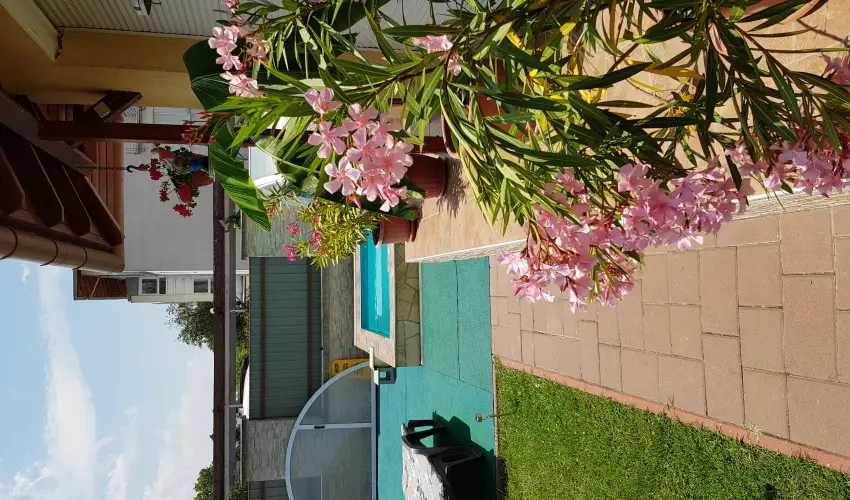 Napsug�r Resort Si�fok - P�nk�sd (min. 2 �j)