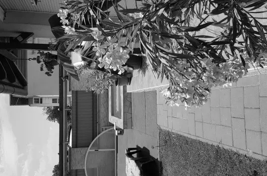 Napsug�r Resort - P�nk�sd (min. 2 �j)