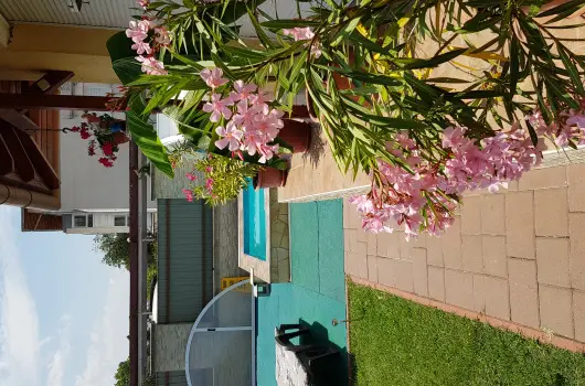 Napsug�r Resort - P�nk�sd (min. 2 �j)