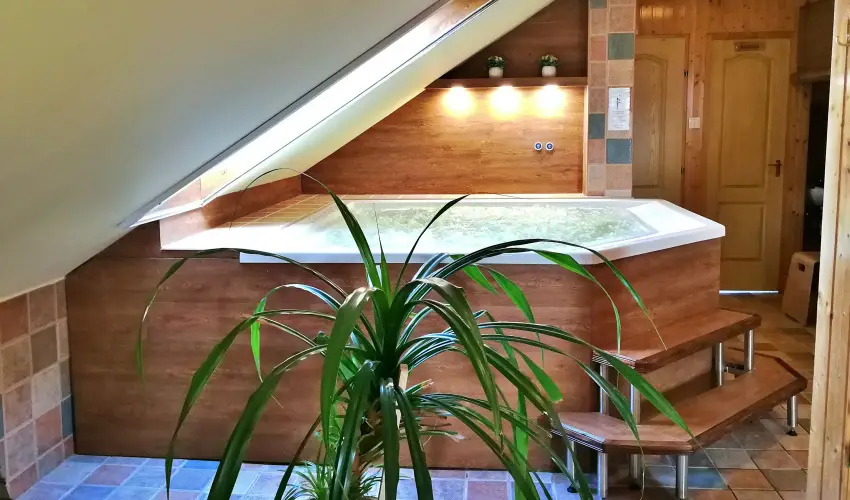 Nelson Hotel Hajd�szoboszl� - P�nk�sd