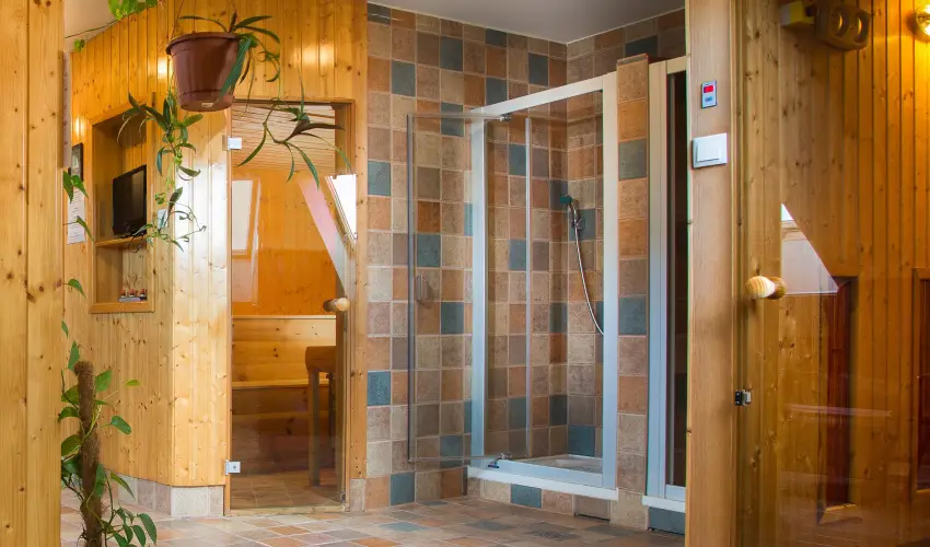 Nelson Hotel Hajd�szoboszl� - P�nk�sd