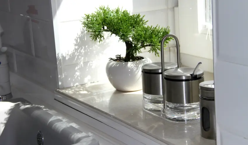 Németh Apartmanok Sárvár - Pünkösd