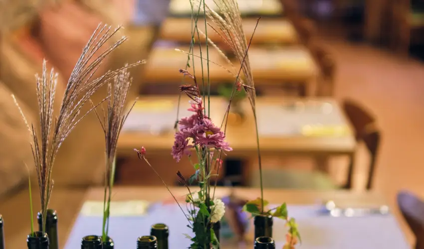 Neptun Badacsony Badacsony - Pnksd (min. 2 j)