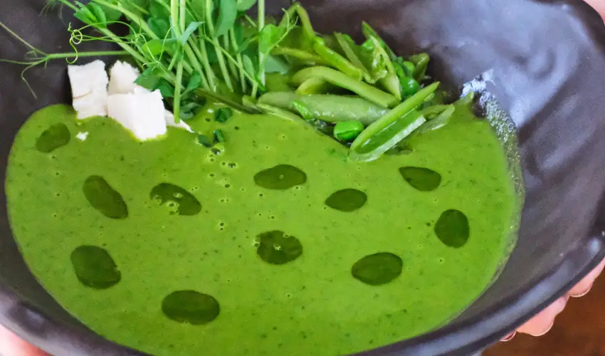 Neptun Badacsony Badacsony - Pnksd (min. 2 j)