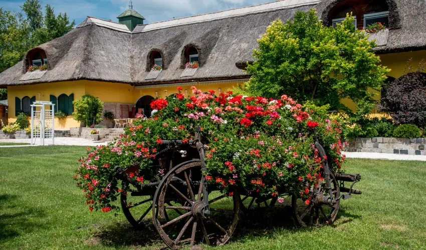 Nyerges Hotel Terml Monor - Pnksd 