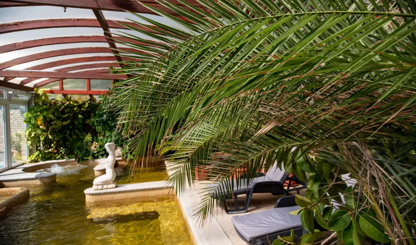 Nyerges Hotel Terml Monor - Pnksd 