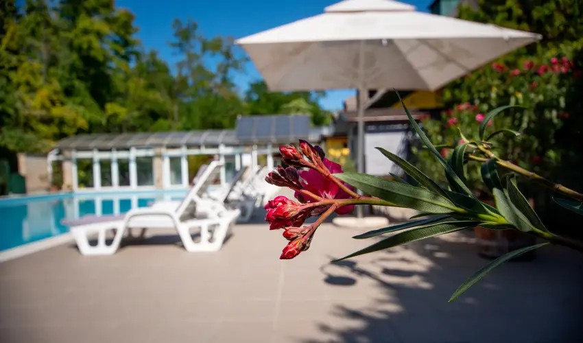 Nyerges Hotel Terml Monor - Pnksd 