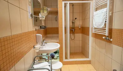 Nyerges Hotel Terml Monor