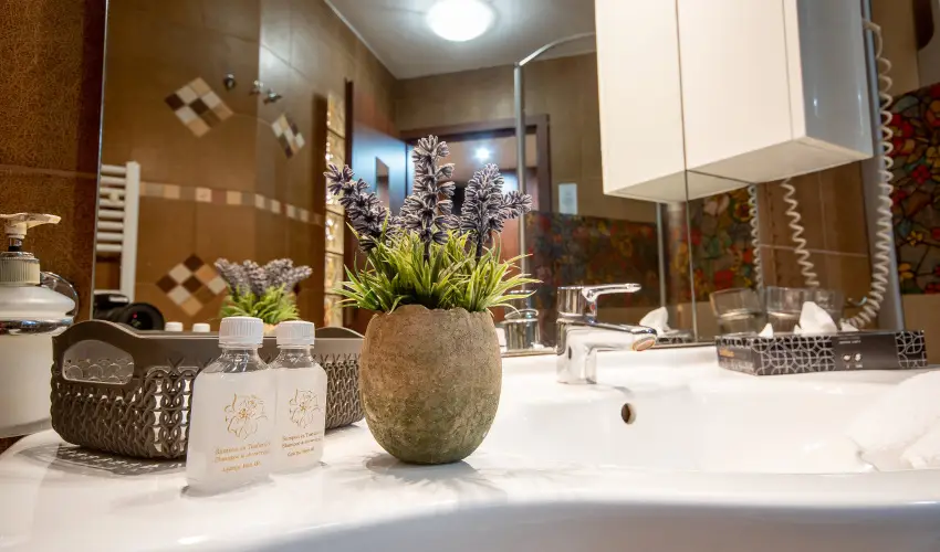 Nyerges Hotel Terml Monor - Pnksd 