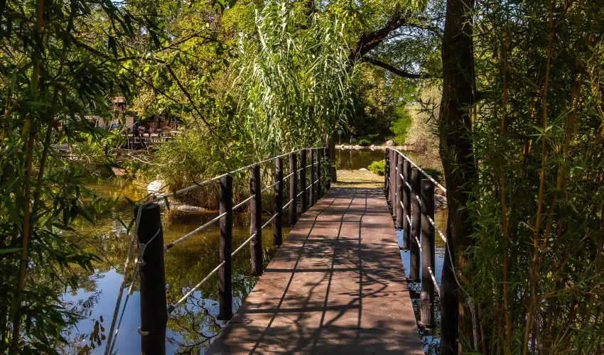 Nyerges Hotel Terml Monor - Pnksd 