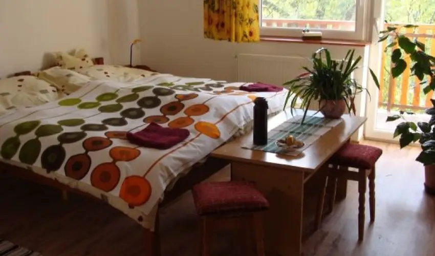 Nyugi Tanya Magyarts - Pnksd (min. 3 j)