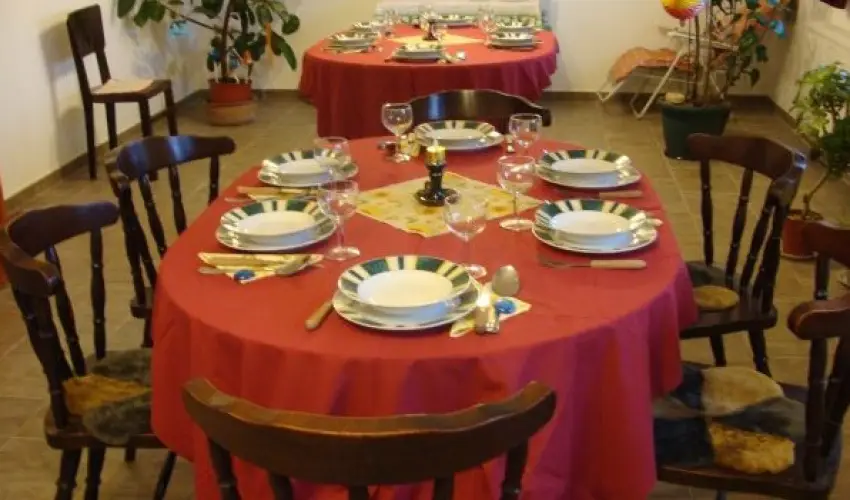 Nyugi Tanya Magyarts - Pnksd (min. 3 j)