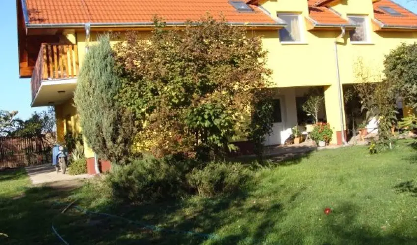 Nyugi Tanya Magyarts - Pnksd (min. 3 j)