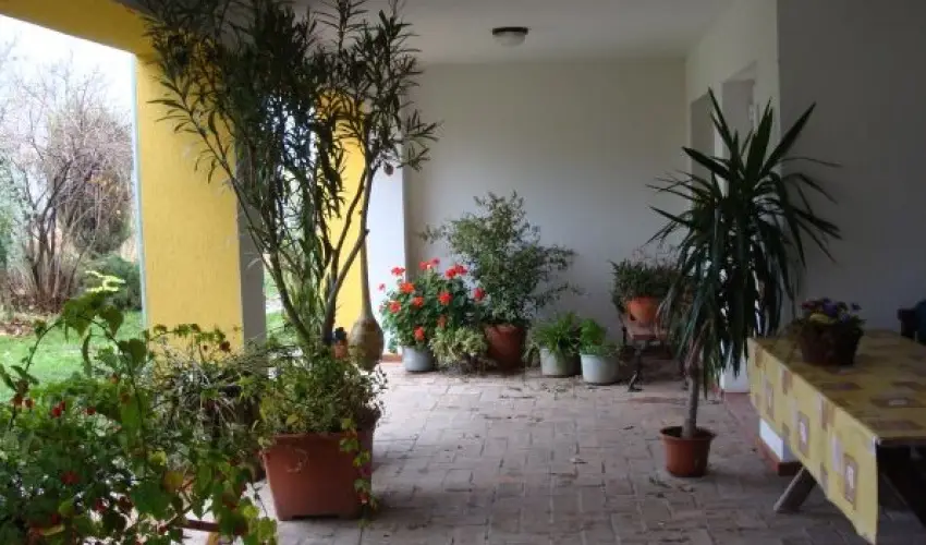 Nyugi Tanya Magyarts - Pnksd (min. 3 j)