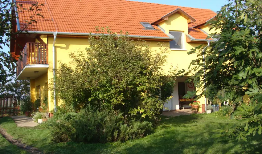 Nyugi Tanya Magyarts - Pnksd (min. 3 j)