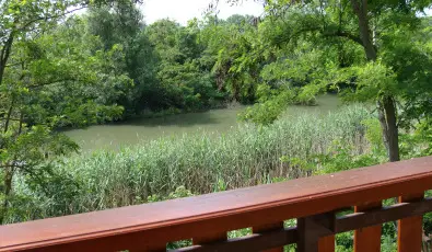 Nyugi Tanya Magyarts