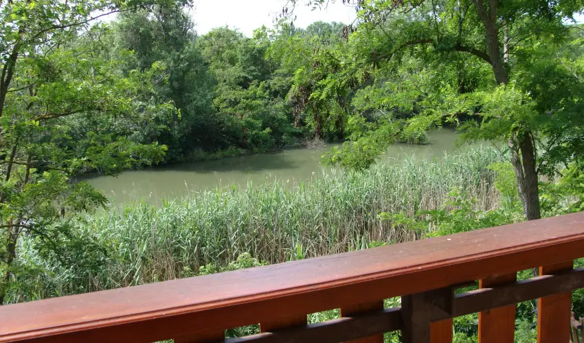 Nyugi Tanya Magyarts - Pnksd (min. 3 j)