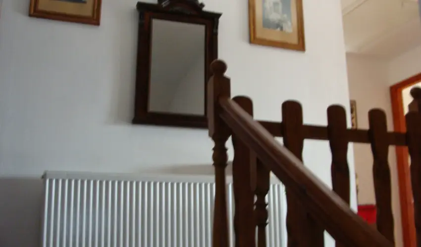 Nyugi Tanya Magyarts - Pnksd (min. 3 j)