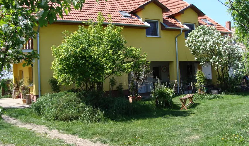 Nyugi Tanya Magyarts - Pnksd (min. 3 j)