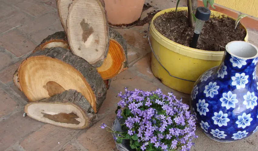 Nyugi Tanya Magyarts - Pnksd (min. 3 j)