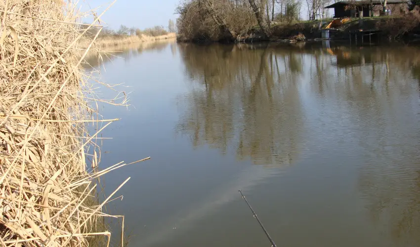 Nyugi Tanya Magyarts - Pnksd (min. 3 j)