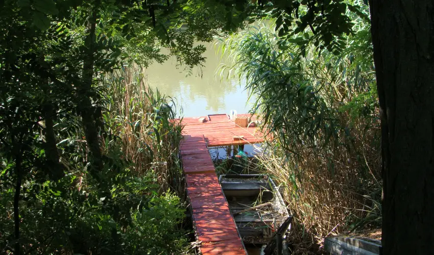 Nyugi Tanya Magyarts - Pnksd (min. 3 j)