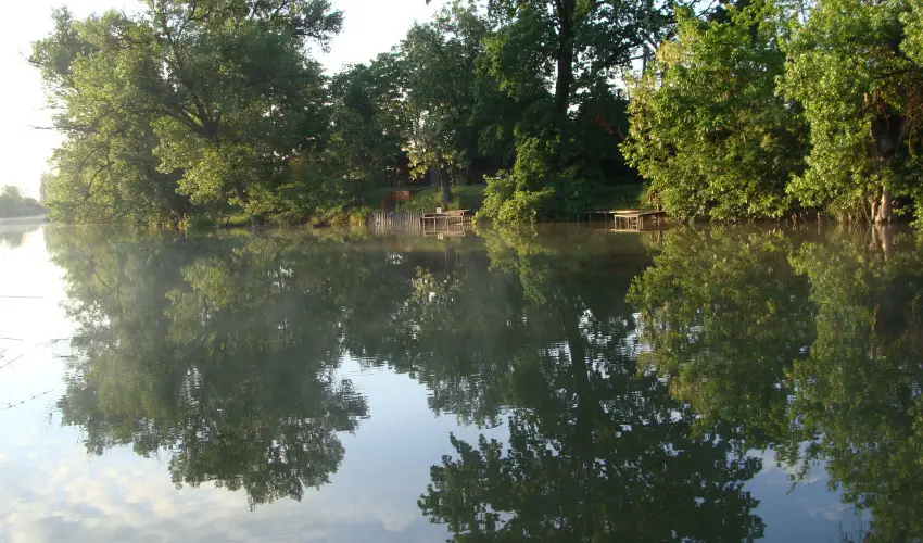 Nyugi Tanya Magyarts - Pnksd (min. 3 j)