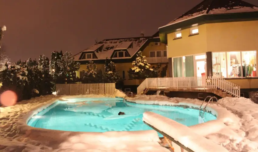 Ozis Wellness Panzi Szigetszentmikls - Pnksd 