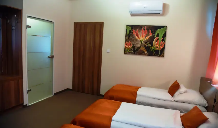 Ozis Wellness Panzi Szigetszentmikls - Pnksd 