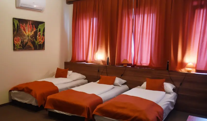 Ozis Wellness Panzi Szigetszentmikls - Pnksd 