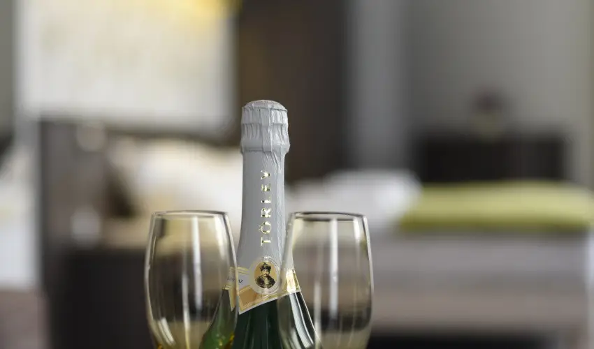 Ozis Wellness Panzi Szigetszentmikls - Pnksd 